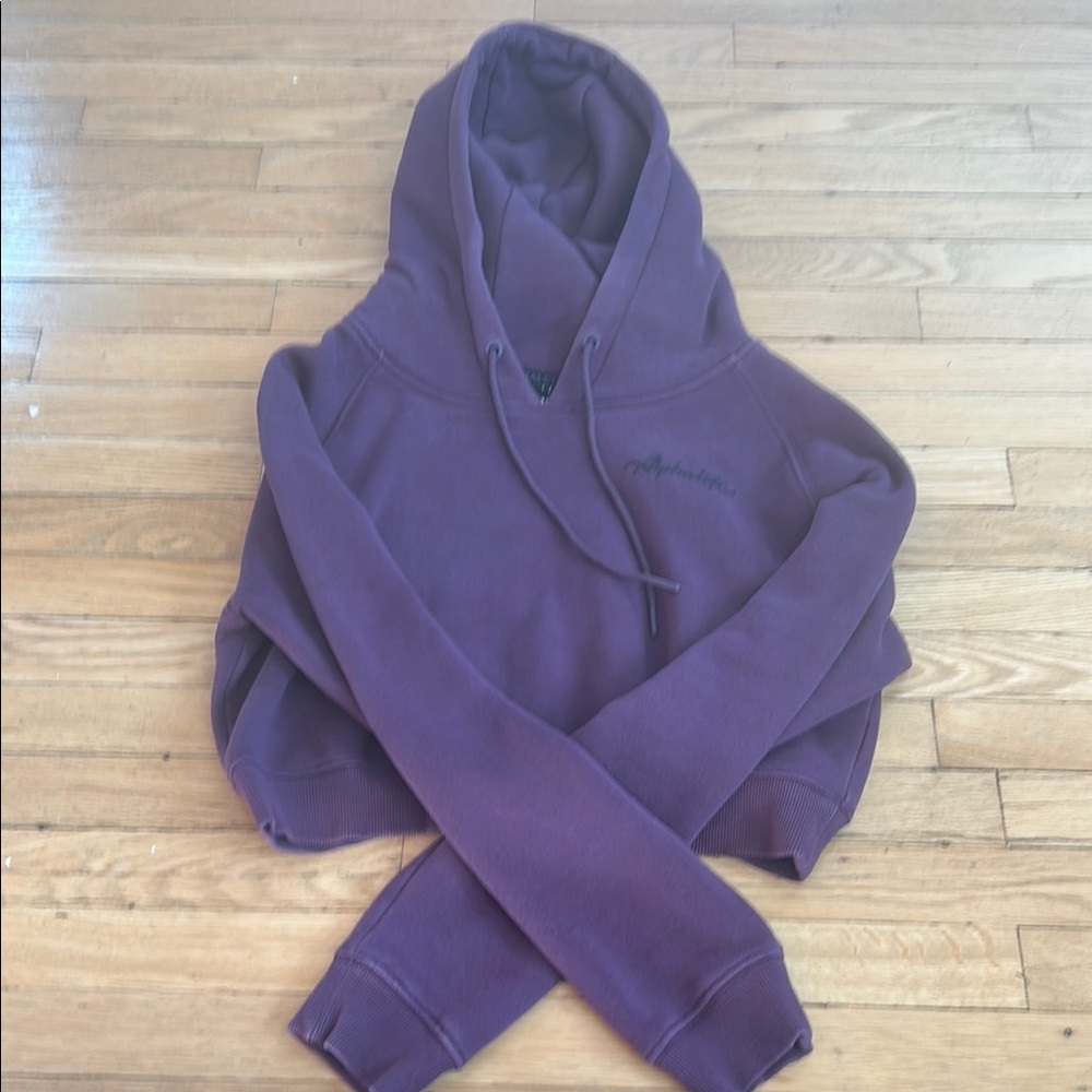 Alphalete crop hoodie.